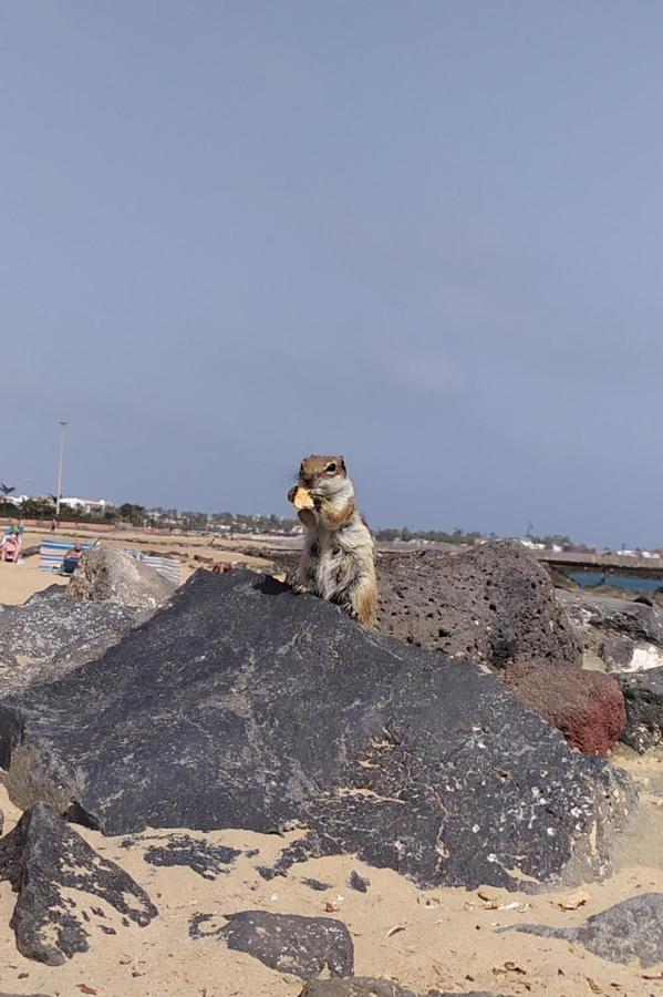 Holiday Rent Fuerteventura Коста-де-Антіґуа Екстер'єр фото